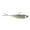 SEXY SHAD, variant on Z-Man Graph Shadz 3.8" 3/16 oz Swimbait Electric Shad