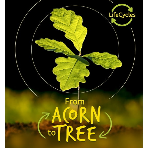 Life Cycles: From Acorn to Tree (Hardcover)