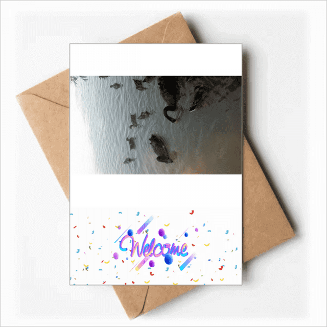 Group Of Black Swan Art Deco Fashion Welcome Back Greeting Cards Envelopes Blank