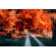 thumbnail image 2 of C. Thomas McNemar 4x24 White Modern Wood Framed Wall Art Titled - Autumn Lane, 2 of 5