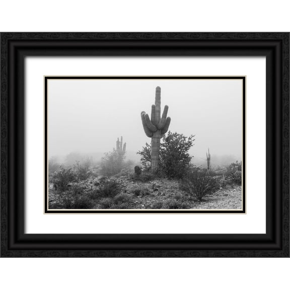 Jaynes Gallery 24x17 Black Ornate Wood Framed with Double Matting Museum Art Print Titled - Arizona-Buckeye Black and white of saguaro cactus in fog