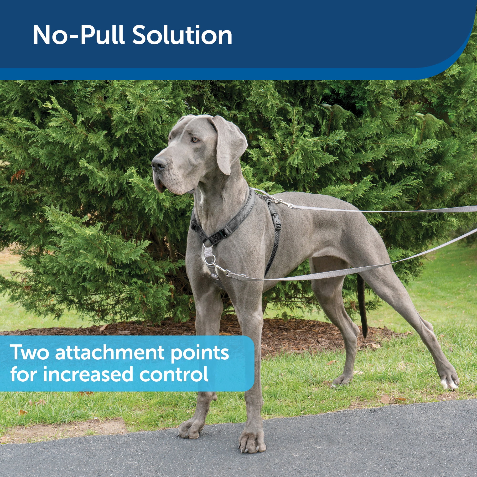 PetSafe 3 in 1 Dog Harness with Two Point Control Leash, Large, Black