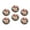 C1811, variant on Glass Refrigerator Magnet 6Pcs Magnetic Fridge Sticker,Decor for Kitchen,Whiteboard,Cabinet,Charming Raccoon In Floral Fantasy