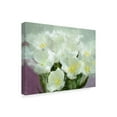 thumbnail image 2 of Trademark Fine Art 'Sunlit Tulips I' Canvas Art by Noah Bay, 2 of 4