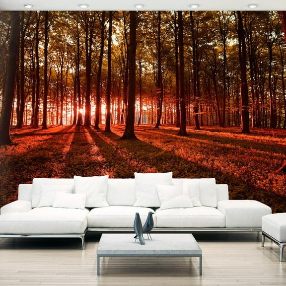 Tiptophomedecor Peel and Stick Forest Wallpaper Wall Mural - Autumn Morning - Removable Wall Decals