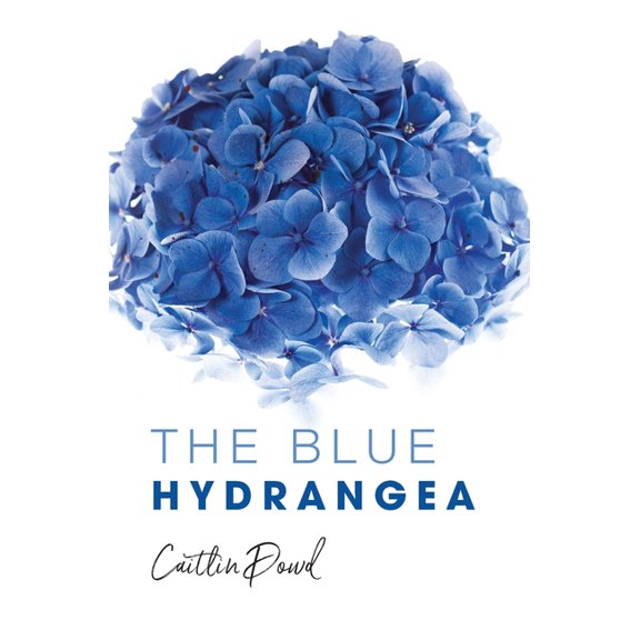 The Blue Hydrangea, (Hardcover)