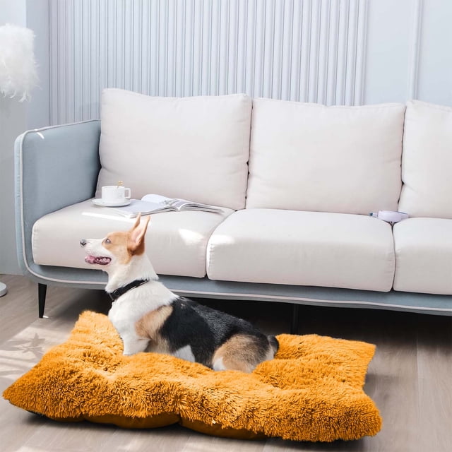 Xihbxyly Caseta de Invierno para Mascotas, Extraíble y Lavable, Acolchado de Esponja Suave, Base de Tela No Tejida, Acogedora Cama de Interior, Ideal para Perros Pequeños, 50 X 40 Cm.