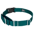 thumbnail image 7 of Country Brook Petz® Teal Durable Nylon Martingale with Deluxe Buckle - Made in the USA, Large, 7 of 7