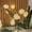 White Sunflower, variant on Flower String Light 10ft 20 LEDs Battery Operated Spring Theme Starry Fairy Lights Decor for Bedroom Kitchen Nursery Wedding Party