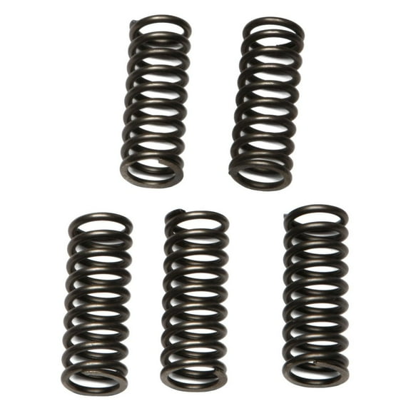 EBC - CSK Series Heavy Duty Clutch Spring Kit