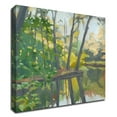 thumbnail image 1 of 30" x 30" Wooded Pond by John Rufo - Wall Art Print on Canvas Fabric Gray, 1 of 3