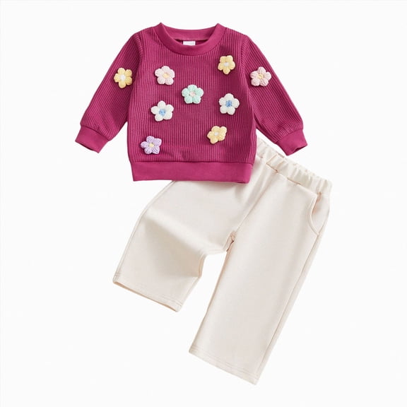 TOWED22 Newborn Toddler Infant Girl Clothes Fall Winter 2 Piece Outfits Long Sleeve Soft Sweatshirt Elastic Waist Pants Set(Hot Pink,12-18 M)