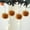 Coffee, variant on Orangide Halloween Decor Soft Pumpkin Hanging Ornament 3 in Cute for Indoor Home Holiday Party Thanksgiving Fall Decor Hanging Pendant for Tree Wall