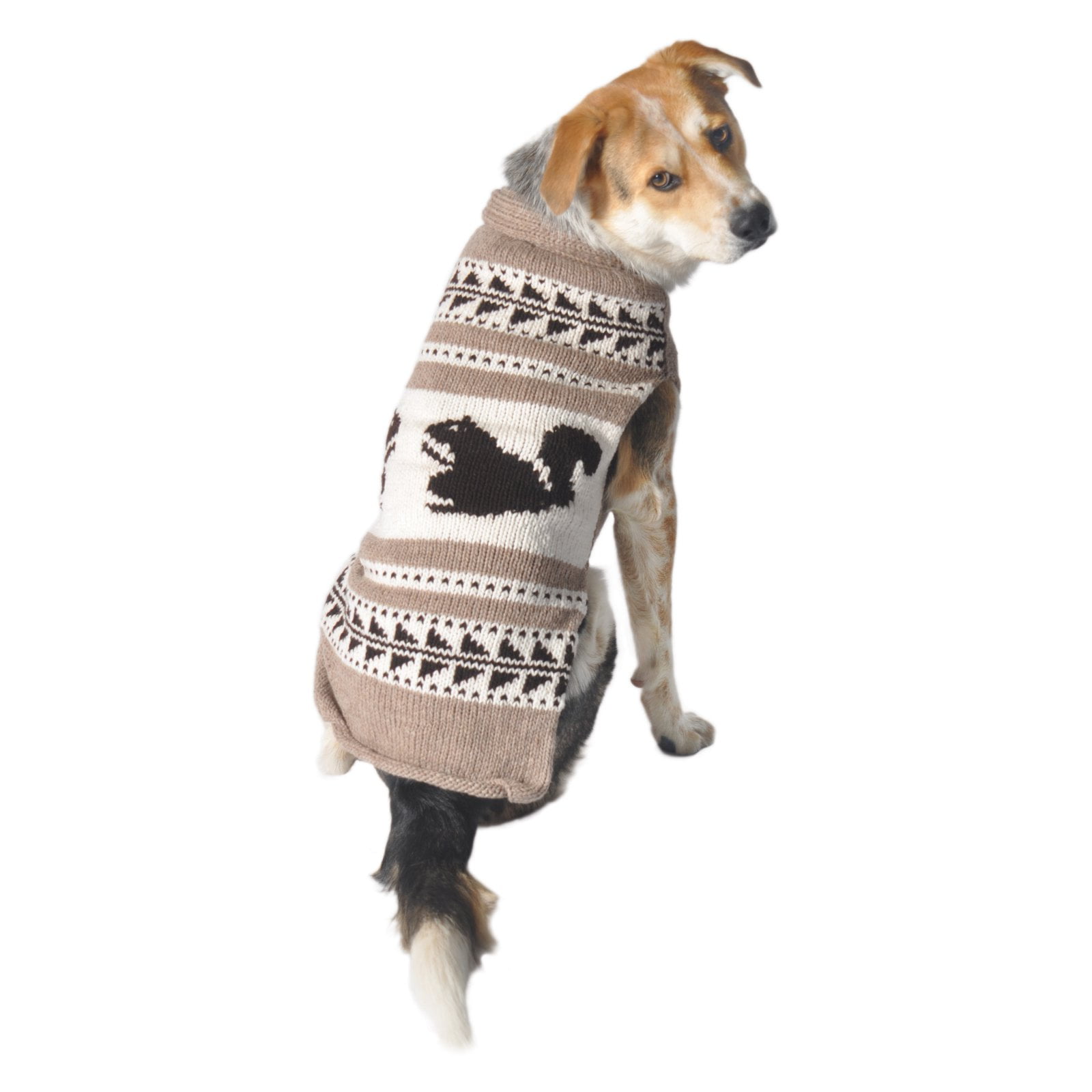 Squirrel on sale dog sweater