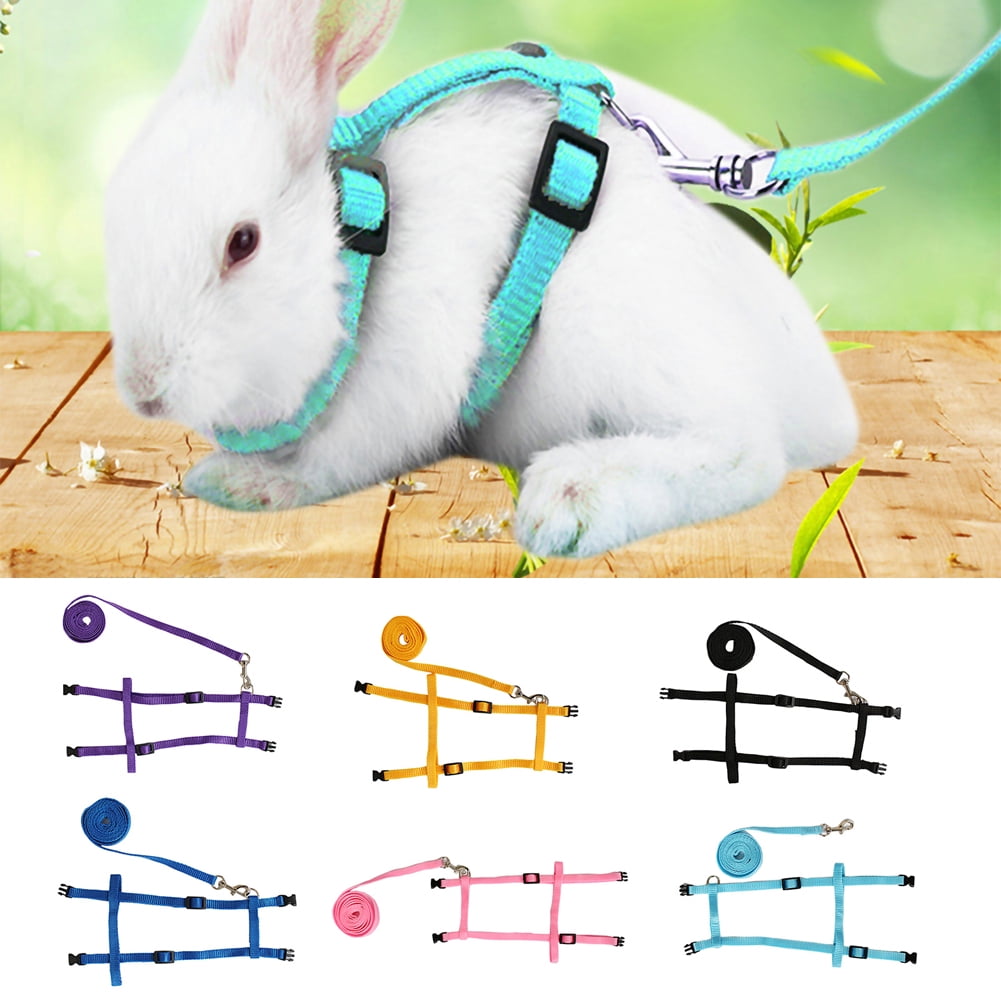 All Things Bunnies H Style Harness and Leash for Rabbit Jumping 