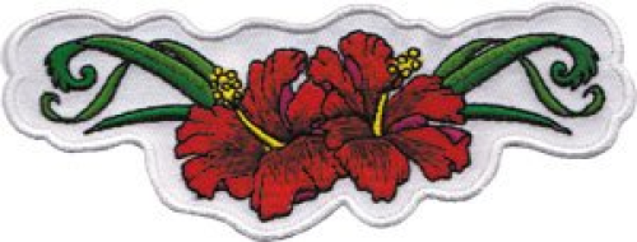 Novelty Iron On Patch Flowers Hibiscus Flowers Red Logo Patch