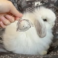 thumbnail image 6 of Funny Rabbits Themed Keepsakes Bunnies Hair Container Keyring Decorative Clear Pet Furs Collector Keychain Pendant, 6 of 18