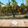 thumbnail image 2 of 100 Pcs Sacs de Protection pour Fruits Sacs de Filet pour Arbres Fruitiers avec Cordon, 2 of 8