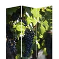 thumbnail image 2 of Grape Vine Print Foldable Canvas Screen with 3 Panels in Multicolor, 2 of 5