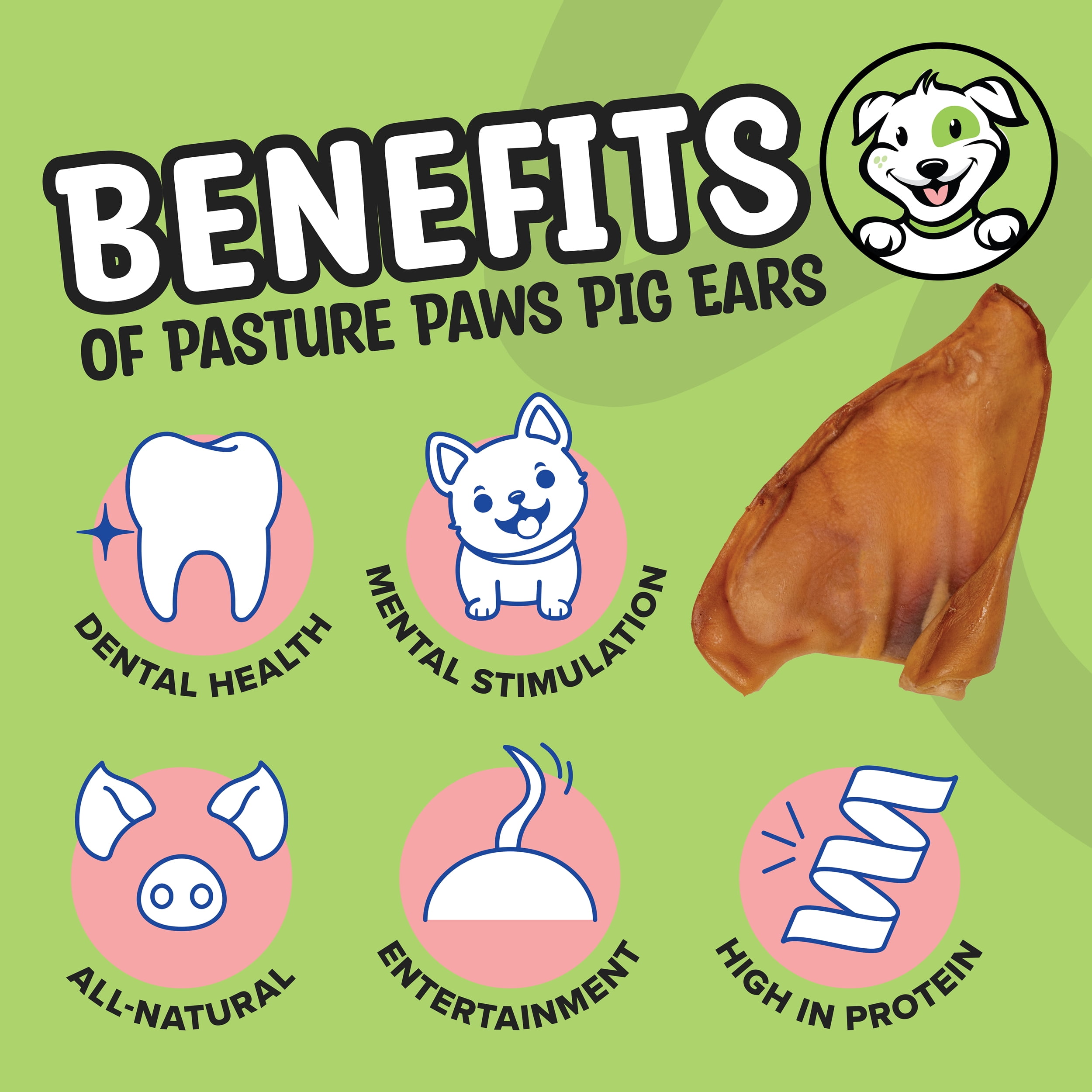 Pasture Paws Pig Ears for Dogs - 30 Pack, Natural Dog Chews, Long Lasting Treats for Dogs for Promoting Healthy Teeth and Gums, Muscle Development, and Overall Health, Preservative Free