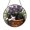 Acrylic 3.5 Inch, variant on Sleeping Cat in Flower Pot Stained Glass Style Suncatcher – Floral Window Decor