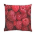 thumbnail image 2 of Ahgly Company Foods Raspberry Coussin Extérieur, 18 Pouces par 18 Pouces, 2 of 6