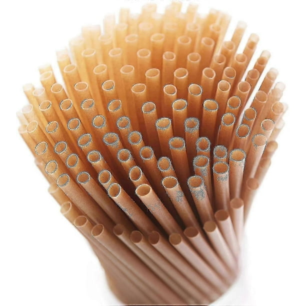 200pcs Sugarcane Straws 8 Inch Compostable Straws Biodegradable Eco-friendly Drinking Straws-2025