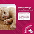 VetriScience Hairball Remedy for Cats 60 Chews Cat Supplements
