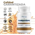 thumbnail image 4 of Cordyceps 500mg - 100 Cápsulas Por Frasco Sin Sabor, 4 of 8