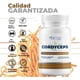 thumbnail image 4 of Cordyceps 500mg - 100 Cápsulas Por Frasco Sin Sabor, 4 of 8