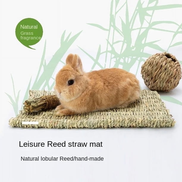 Alfombra de césped tejida para cama para animales pequeños, ropa de cama de conejito, juguete para masticar, juguete de cama para conejillo de indias, loro, conejo, hámster, rata (paquete de