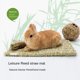 thumbnail image 1 of Alfombra de césped tejida para cama para animales pequeños, ropa de cama de conejito, juguete para masticar, juguete de cama para conejillo de indias, loro, conejo, hámster, rata (paquete de, 1 of 5