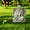 C, variant on 7.9in Memorial Garden Acrylic Stake,Waterproof Flat Yard Ground Plug,Outdoor Courtyard Decor Sign,Sympathy Ornament for Garden Patio Lawn