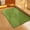 Green, variant on Diatomaceous Earth Stone Bath Mat Super Absorbent Quick Dry Non Slip Rubber Backing Shower Mat for Bathroom Floor Fast Drying Modern Decor