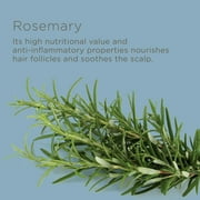 Hairitage Perfect Dose Balancing Conditioner with Rosemary Oil | for Dry, Oily & Sensitive Scalp, 13 fl oz