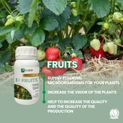 Bio Bob Plant Growing Kit