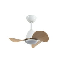 Cian 24 in. 1-Light Indoor White Finish Ceiling Fan with Light Kit
