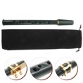 thumbnail image 3 of Professional Pocket Saxophone ABS Saxophone Mini Vertical Flute Instrument, 3 of 8