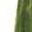 Green, variant on Travel Pants Women Cargo Pants Women Plus Size High Waisted Women'S Pants Petite Pull On Casual Pants For Women Petite Plus Black Sweatpants Women Baggy Plus Size My Item