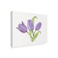 thumbnail image 2 of Trademark Fine Art 'Easter Blessing Flowers II' Canvas Art by Kathleen Parr McKenna, 2 of 4