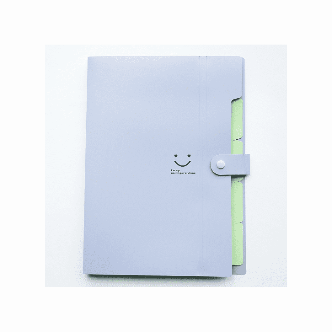 Letter A4 Paper Expanding File Folder Pockets Accordion Document ...