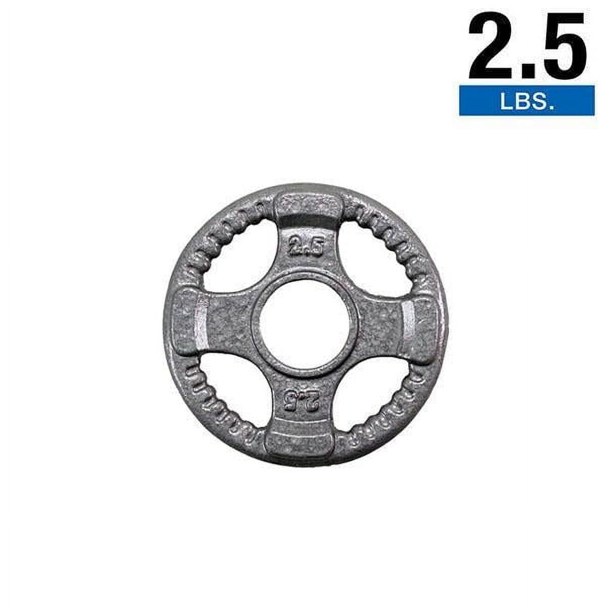 Body-Solid Gray Grip Cast Iron Olympic Plates 2.5, 5, 10, 25, 35, 45 lb.