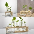 thumbnail image 2 of PANuYIN Plant Terrarium Glass 3 Bottles with Wooden Stand Desktop Planter Vase Decoration - Love Style, 2 of 5