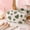 🌻 Green#292, variant on Makeup Pouch with Zipper, 7.1 x 3.9 x 3.1 Inch Cloth Travel Organizer for Home, Office, Lipstick, and Jewelry
