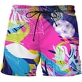 thumbnail image 1 of Flamingo Graffiti Painting Shorts Pants Men Summer Beach Shorts 3d Printed y2k Swim Trunks Quick Dry Swimsuit Cool Ice Shorts Fivean unisex, 1 of 2
