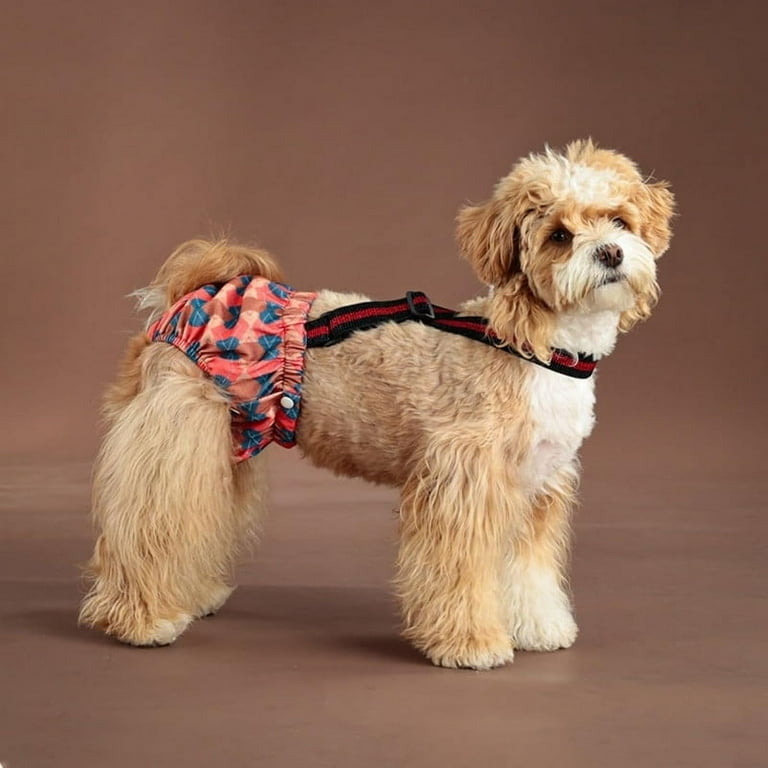 Doggy Diapers Female CuteBone Dog Diapers Female Washable Small Medium Large 3 Pack Reusable Doggie Diapers Puppy Period Pants For Doggy Heat Cycle Peeing D36XS Dog Treat Pouch