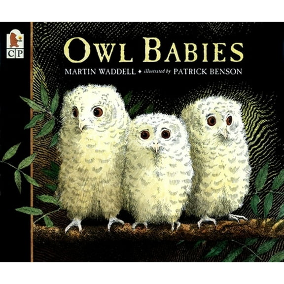 Pre-Owned Owl Babies (Paperback) 0763617105 9780763617103