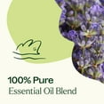 thumbnail image 5 of Plant Therapy Blissful Dreams Essential Oil Blend 10 mL (1/3 oz) 100% Pure, Undiluted, Natural Aromatherapy, 5 of 9