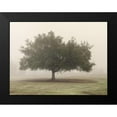 thumbnail image 2 of Poinski, Dianne 24x19 Black Modern Framed Museum Art Print Titled - Trees in Fog 5, 2 of 5