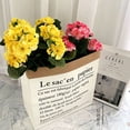 thumbnail image 3 of Geege 5Pcs 14.4inch Artificial Geraniums Silk Flowers Outdoor Home Decor Garden Plants Bush,Pink, 3 of 7